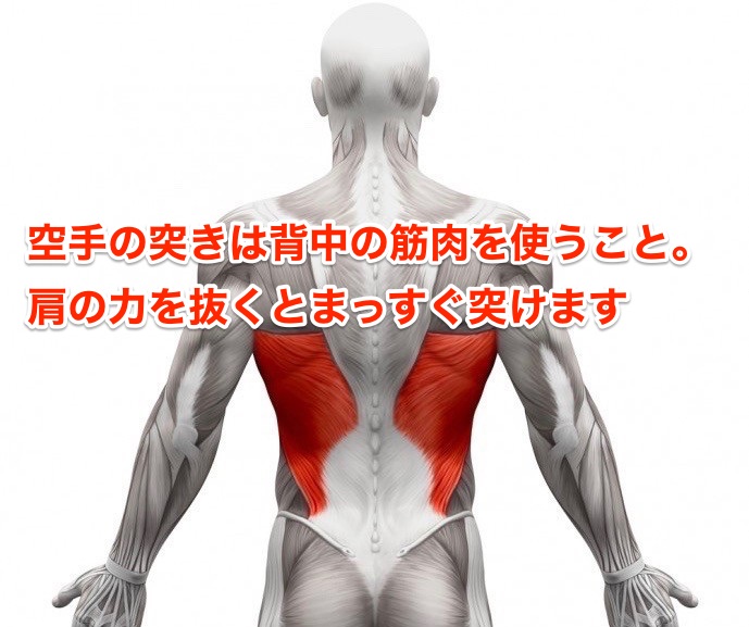 背中の筋肉を意識するだけで空手の突きが劇的にレベルアップする オレ流空手